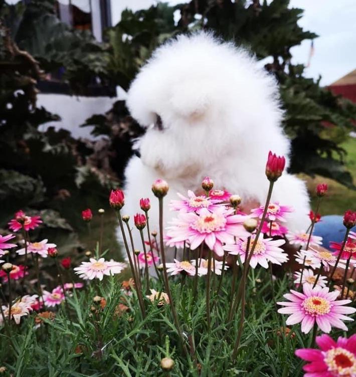 WhatsApp Image 2020-12-08 at 22.10.16