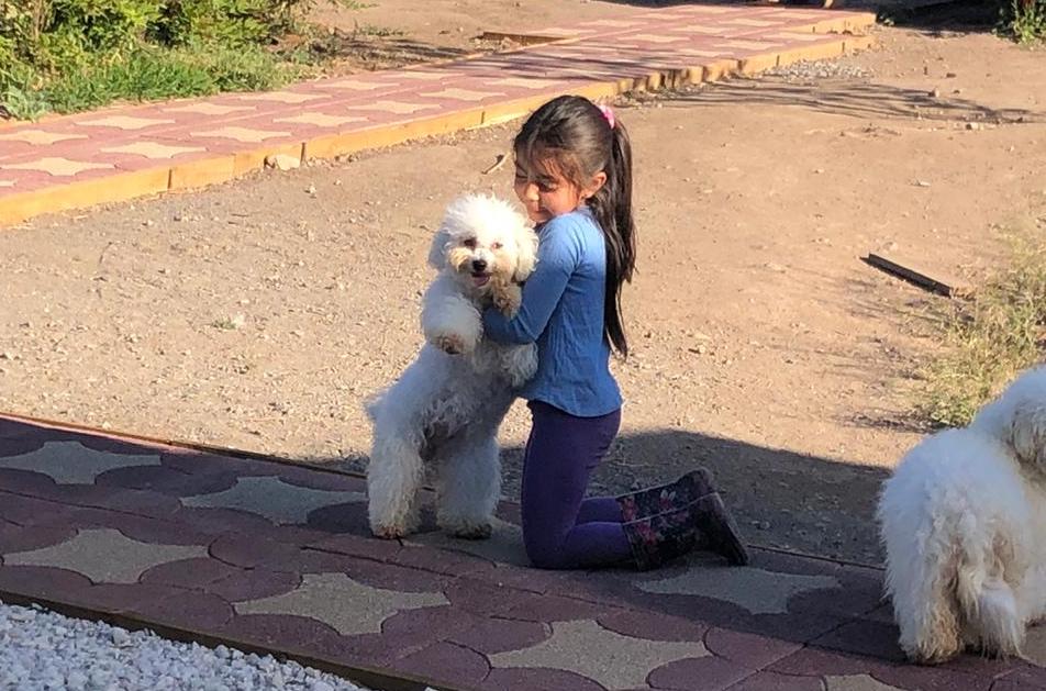 WhatsApp Image 2020-12-08 at 22.10.55