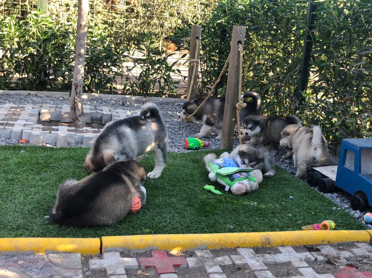 2cbd2548-fa3c-45d5-b593-913940f2bd3a