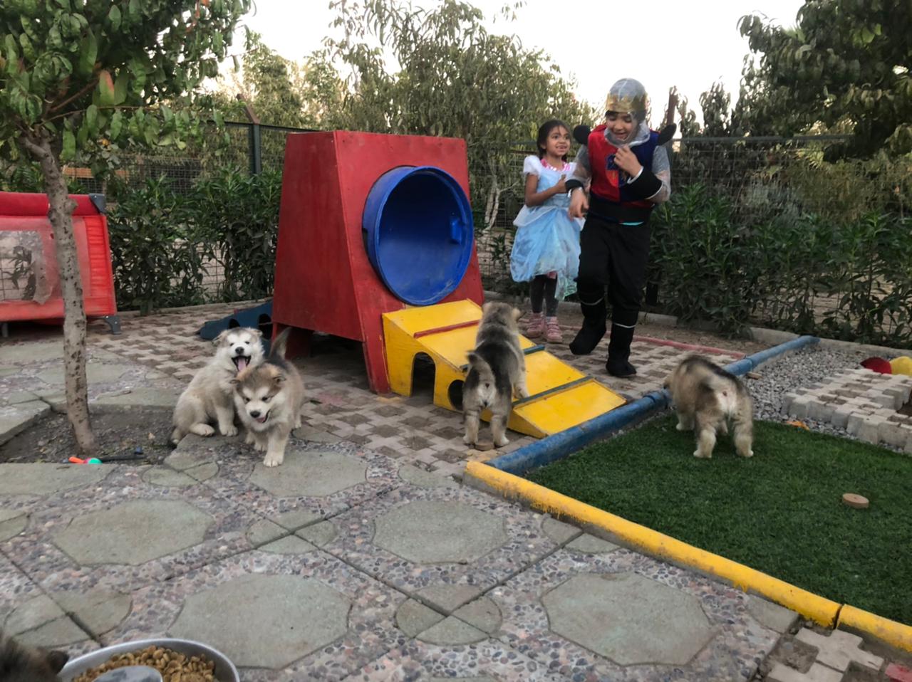 WhatsApp Image 2021-04-25 at 18.15.58