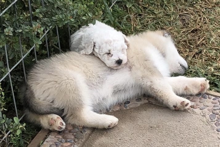 a2bdd2e6-9866-4ef2-be21-541f81aeef8d 2