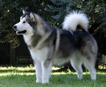 bc046f75c239f05a2694530d10ffebf0