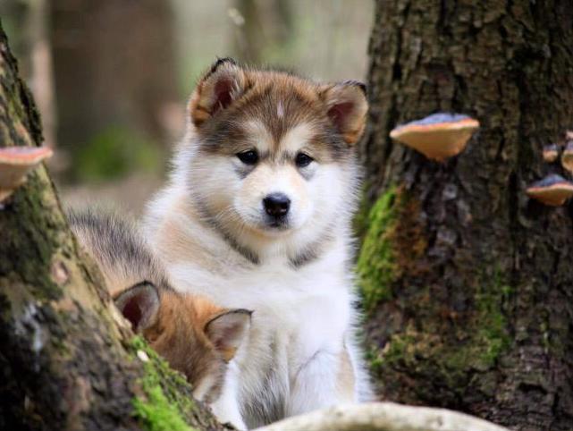 59cd7670-cfe6-4063-9b33-f8a1e332c163