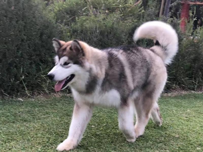 WhatsApp-Image-2020-12-08-at-22.16.11-1