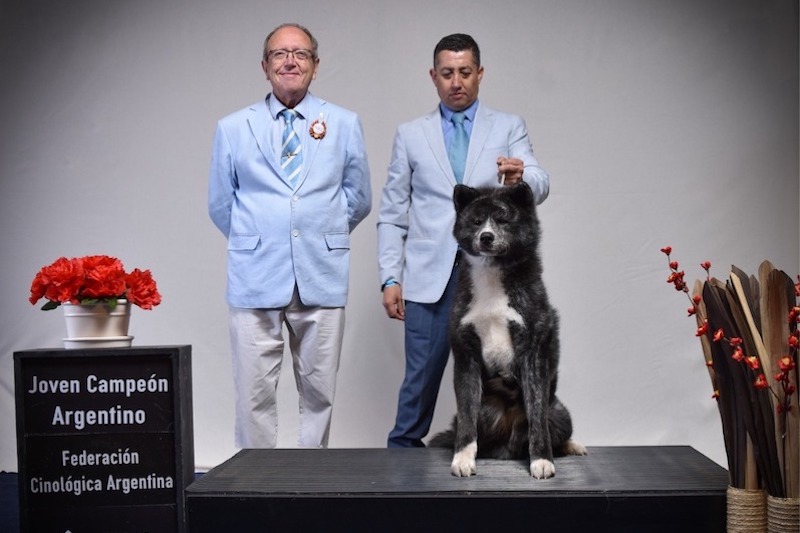 Copia de WhatsApp Image 2022-10-17 at 8.18.02 PM