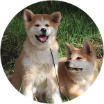 IMG_2022-10-17-163624