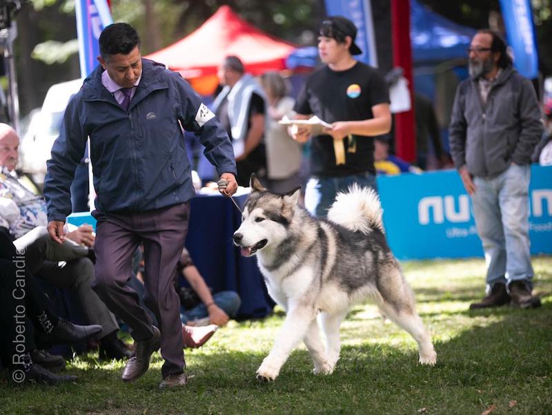 WhatsApp Image 2022-12-16 at 13.56.27