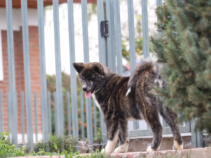 WhatsApp Image 2023-09-18 at 20.38.01