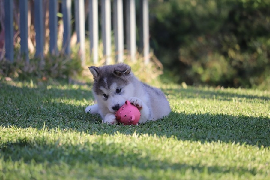 WhatsApp Image 2024-10-20 at 22.54.55