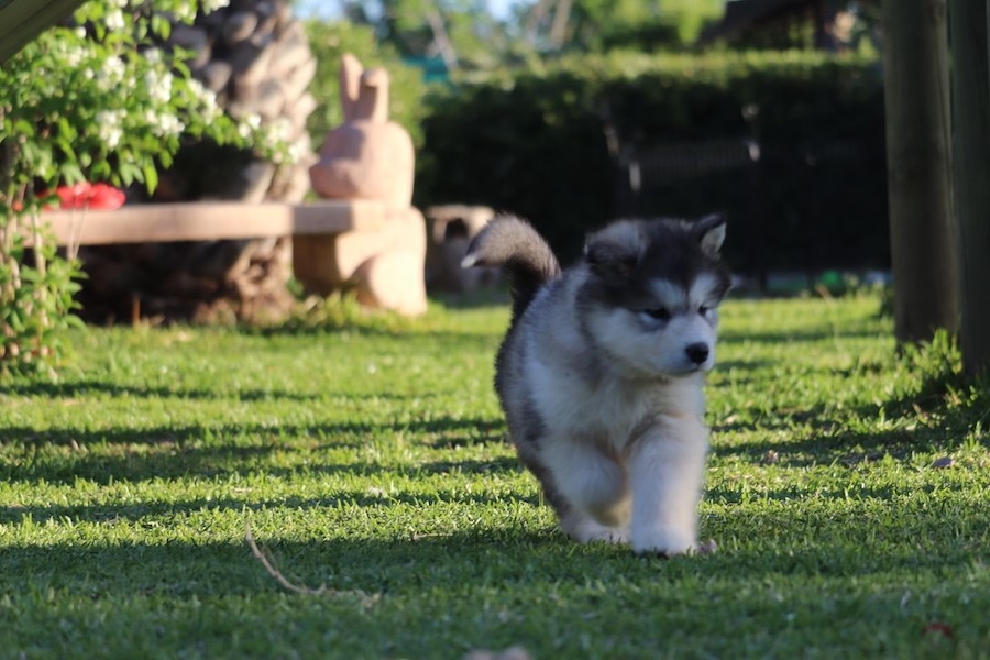 WhatsApp Image 2024-10-21 at 11.05.35